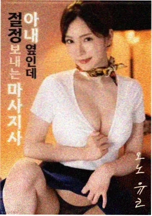 猫武士 电影 2026